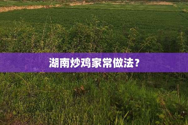 湖南炒鸡家常做法？