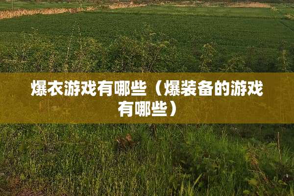 爆衣游戏有哪些（爆装备的游戏有哪些）