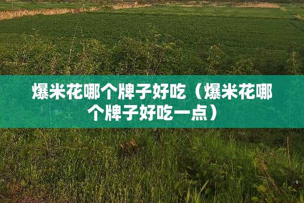 爆米花哪个牌子好吃（爆米花哪个牌子好吃一点）