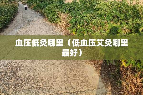 血压低灸哪里（低血压艾灸哪里最好）