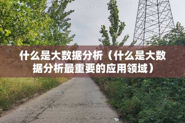 什么是大数据分析（什么是大数据分析最重要的应用领域）