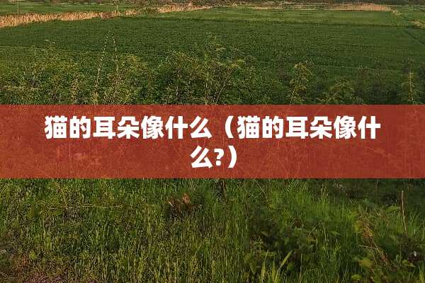 猫的耳朵像什么（猫的耳朵像什么?）