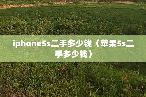 iphone5s二手多少钱（苹果5s二手多少钱）