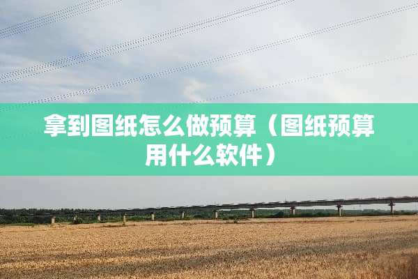 拿到图纸怎么做预算（图纸预算用什么软件）