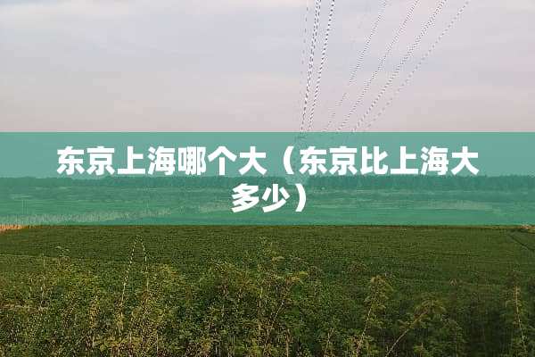 东京上海哪个大（东京比上海大多少）