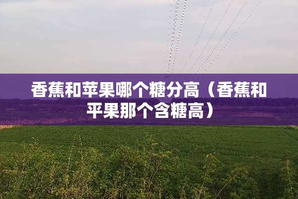 香蕉和苹果哪个糖分高（香蕉和平果那个含糖高）