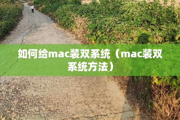 如何给mac装双系统（mac装双系统方法）