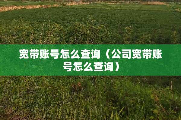 宽带账号怎么查询（公司宽带账号怎么查询）