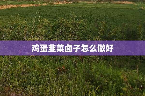 鸡蛋韭菜卤子怎么做好