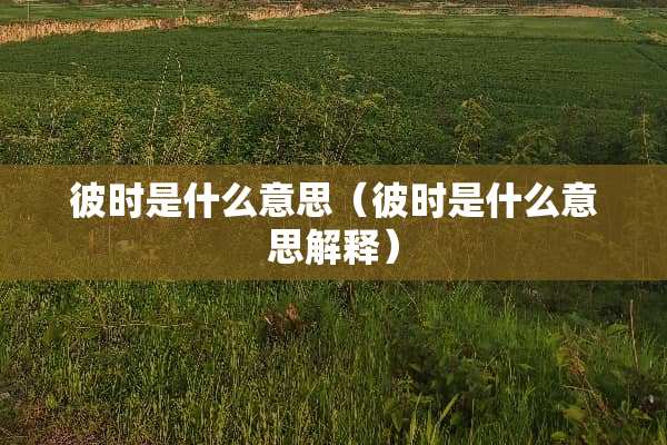 彼时是什么意思（彼时是什么意思解释）