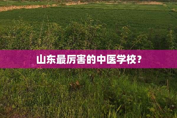 山东最厉害的中医学校？