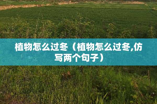 植物怎么过冬（植物怎么过冬,仿写两个句子）