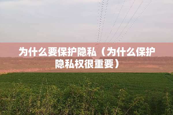 为什么要保护隐私（为什么保护隐私权很重要）