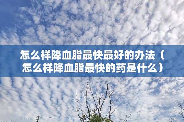 怎么样降血脂最快最好的办法（怎么样降血脂最快的药是什么）