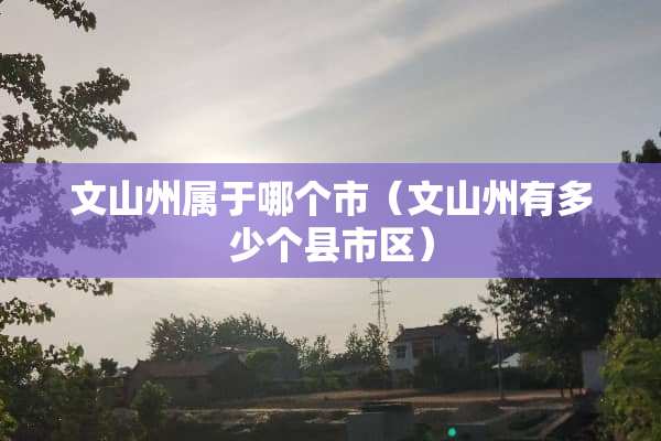 文山州属于哪个市（文山州有多少个县市区）
