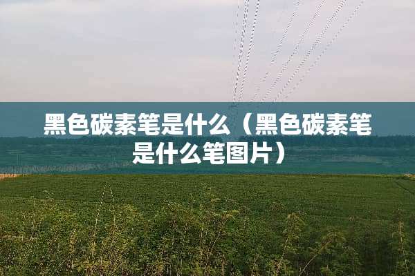 黑色碳素笔是什么（黑色碳素笔是什么笔图片）