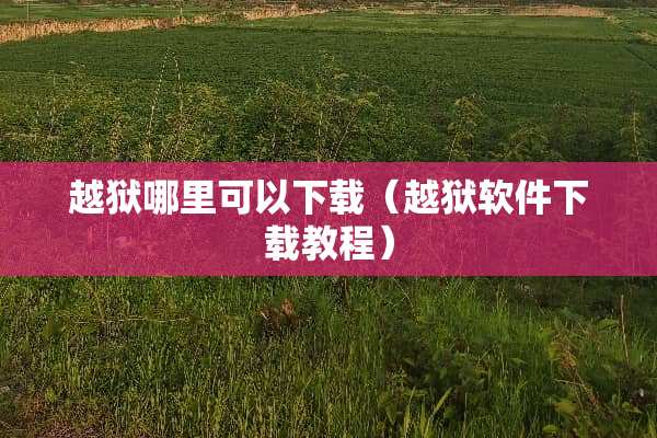 越狱哪里可以下载（越狱软件下载教程）