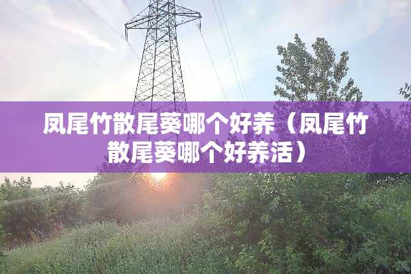 凤尾竹散尾葵哪个好养（凤尾竹散尾葵哪个好养活）