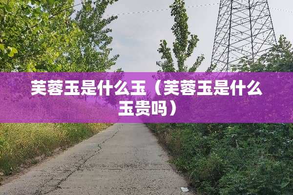 芙蓉玉是什么玉（芙蓉玉是什么玉贵吗）