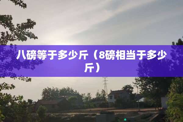 八磅等于多少斤（8磅相当于多少斤）