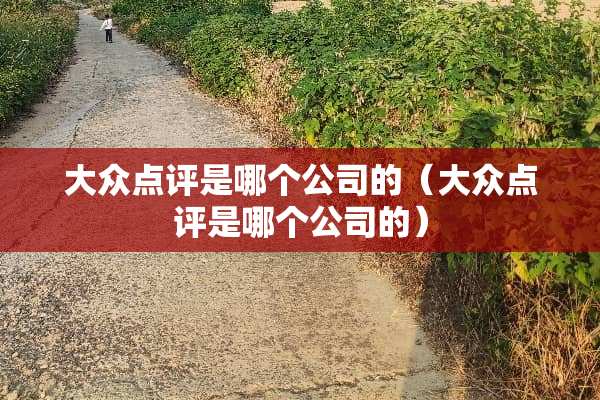 大众点评是哪个公司的（大众点评是哪个公司的）