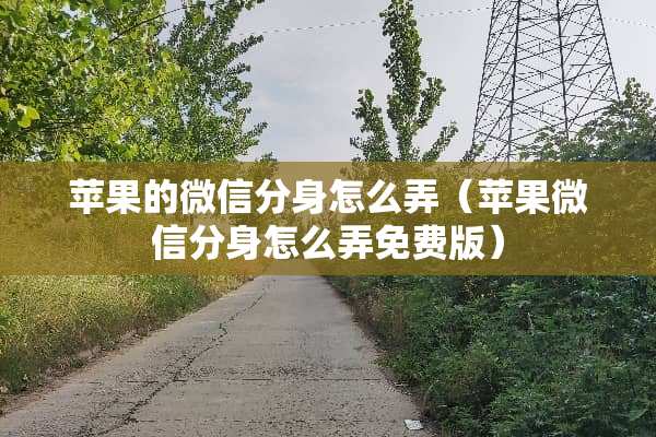 苹果的微信分身怎么弄（苹果微信分身怎么弄免费版）