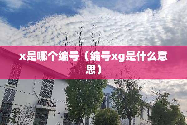 x是哪个编号（编号xg是什么意思）