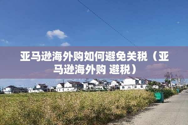 亚马逊海外购如何避免关税（亚马逊海外购 避税）