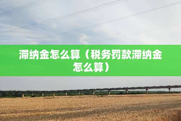 滞纳金怎么算（税务罚款滞纳金怎么算）
