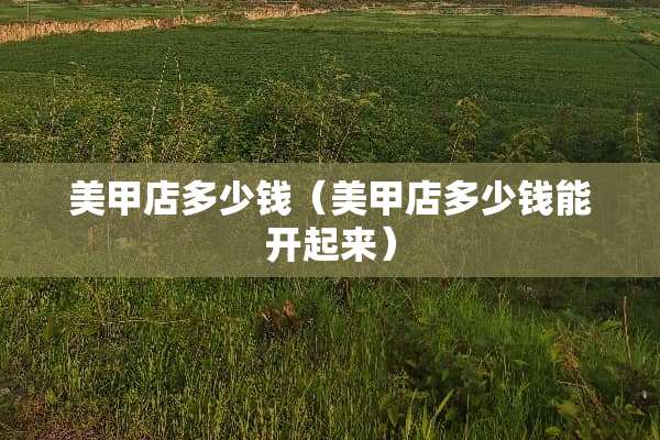 美甲店多少钱（美甲店多少钱能开起来）