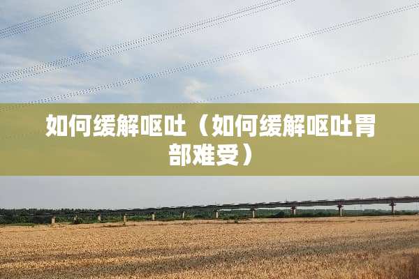 如何缓解呕吐（如何缓解呕吐胃部难受）