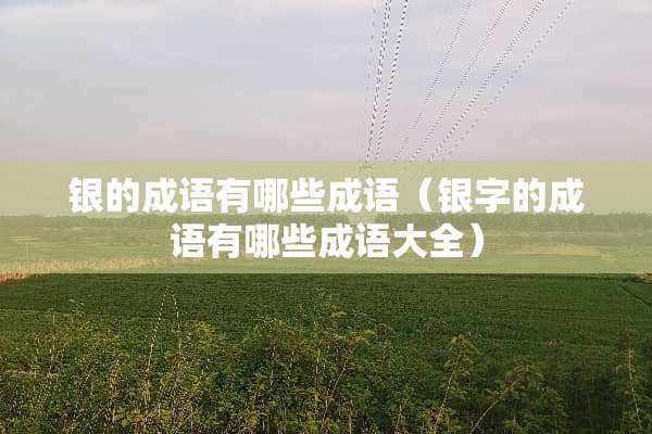 银的成语有哪些成语（银字的成语有哪些成语大全）