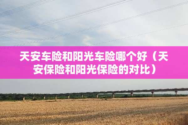 天安车险和阳光车险哪个好（天安保险和阳光保险的对比）