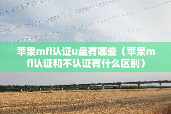 苹果mfi认证u盘有哪些（苹果mfi认证和不认证有什么区别）