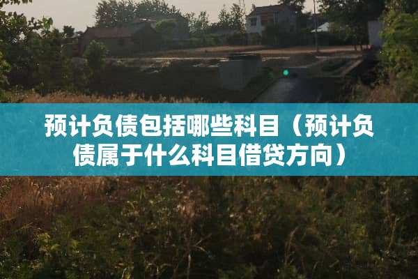 预计负债包括哪些科目（预计负债属于什么科目借贷方向）