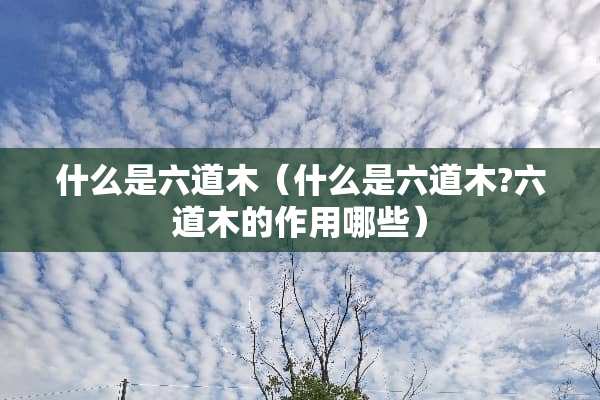 什么是六道木（什么是六道木?六道木的作用哪些）