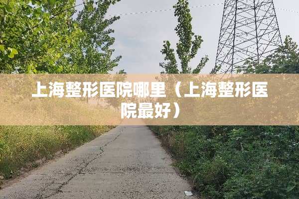 上海整形医院哪里（上海整形医院最好）