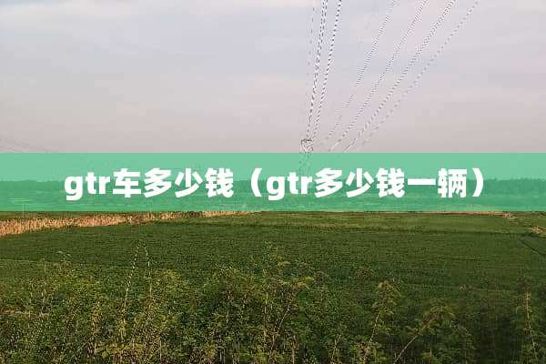gtr车多少钱（gtr多少钱一辆）