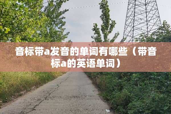 音标带a发音的单词有哪些（带音标a的英语单词）
