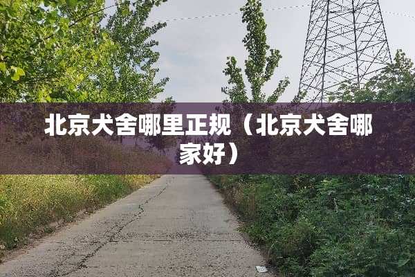北京犬舍哪里正规（北京犬舍哪家好）