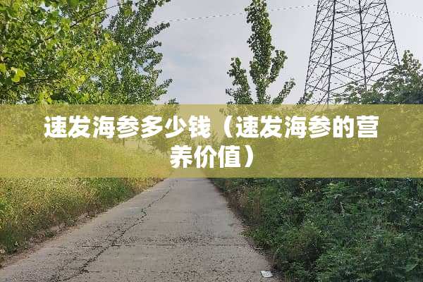 速发海参多少钱（速发海参的营养价值）