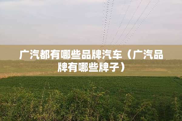 广汽都有哪些品牌汽车（广汽品牌有哪些牌子）