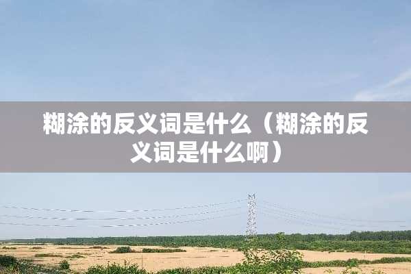 糊涂的反义词是什么（糊涂的反义词是什么啊）