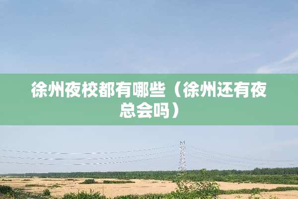 徐州夜校都有哪些（徐州还有***吗）