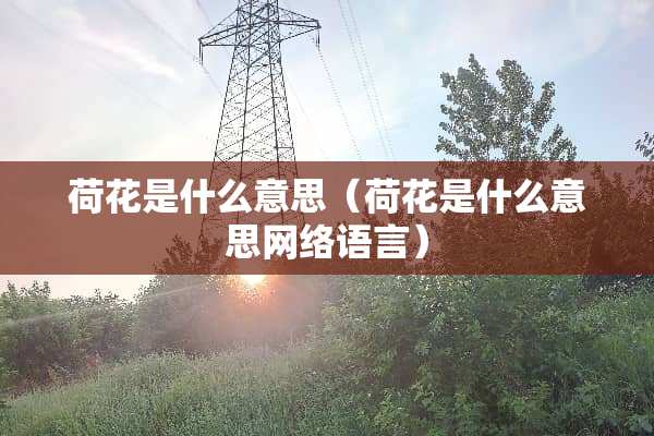 荷花是什么意思（荷花是什么意思网络语言）