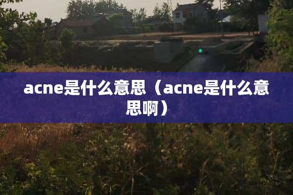 acne是什么意思（acne是什么意思啊）