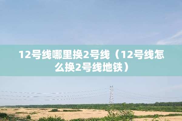 12号线哪里换2号线（12号线怎么换2号线地铁）