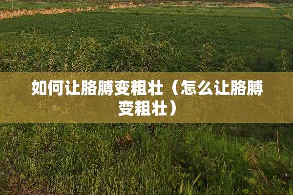 如何让胳膊变粗壮（怎么让胳膊变粗壮）