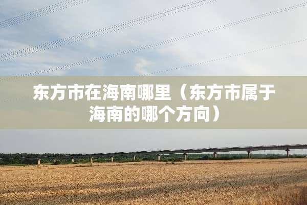 东方市在海南哪里（东方市属于海南的哪个方向）
