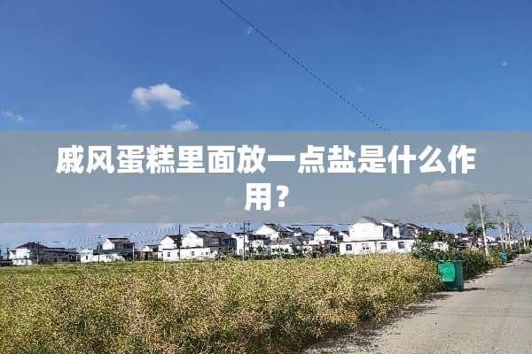 戚风蛋糕里面放一点盐是什么作用？